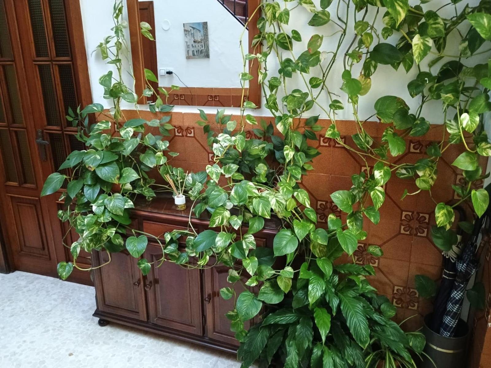 科爾多瓦Casa Matbel公寓 外观 照片